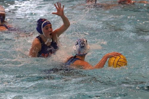 Zwemmen of waterpolo