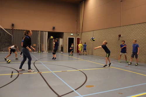 Volleybal