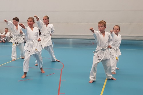 Karate