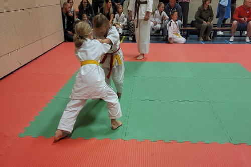 Judo of Jiu Jitsu